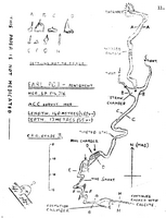 ACC NS11 Earl Pot